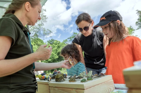 Otwarcie sezonu turystycznego w Ojcowie