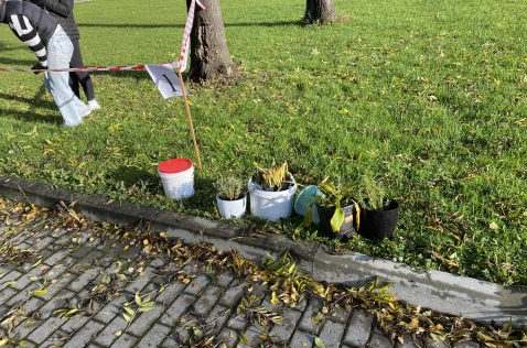 Nowa przestrzeń edukacyjna w Krzeszowicach