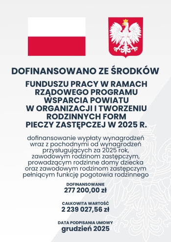 plakat piecza zastępcza 2025.png